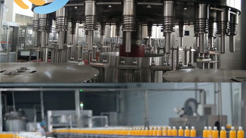 鸡鸭屠宰脱毛设备：价格解析与选购要点